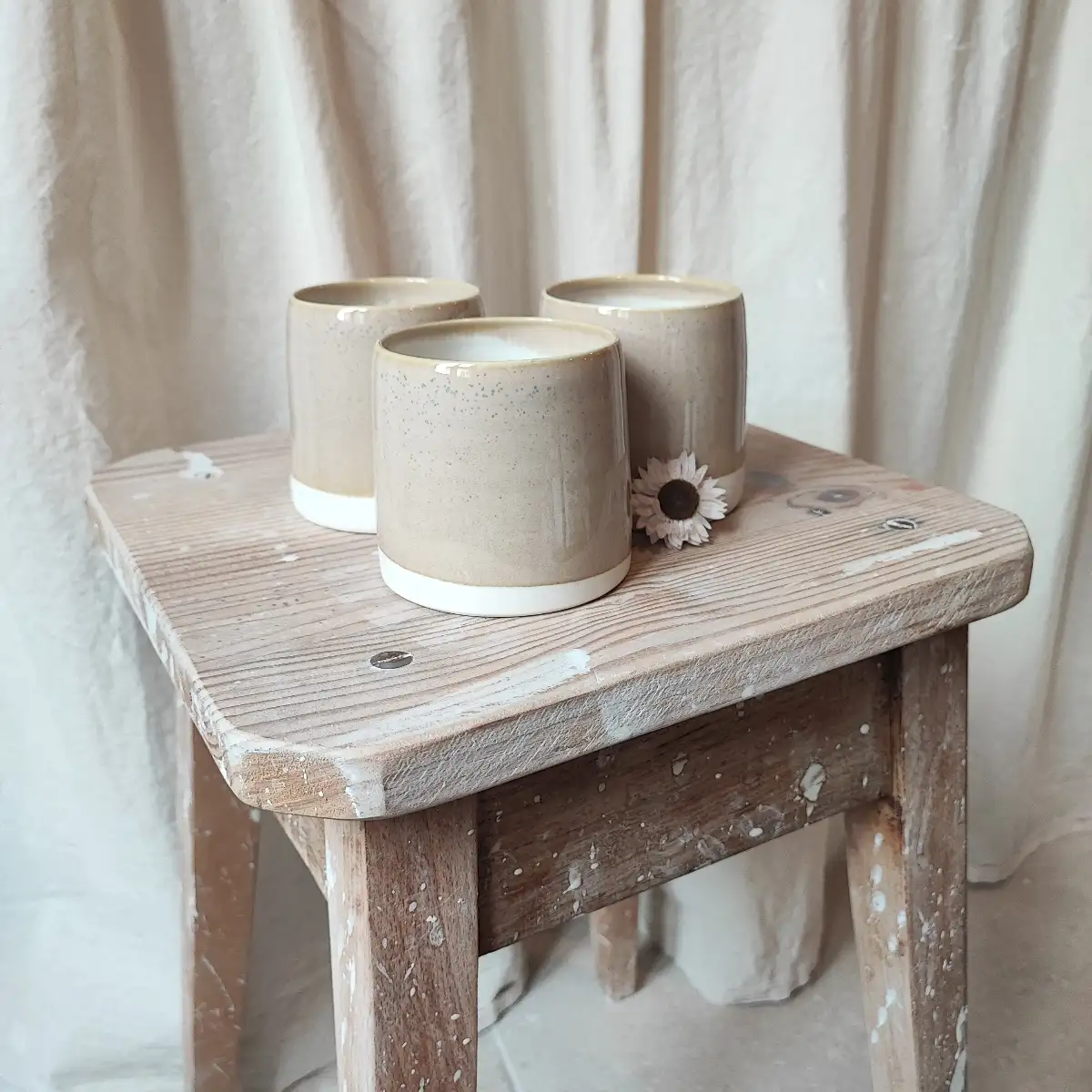 Tasse